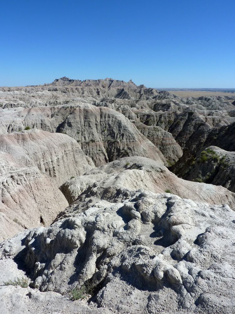 Badlands (116).JPG